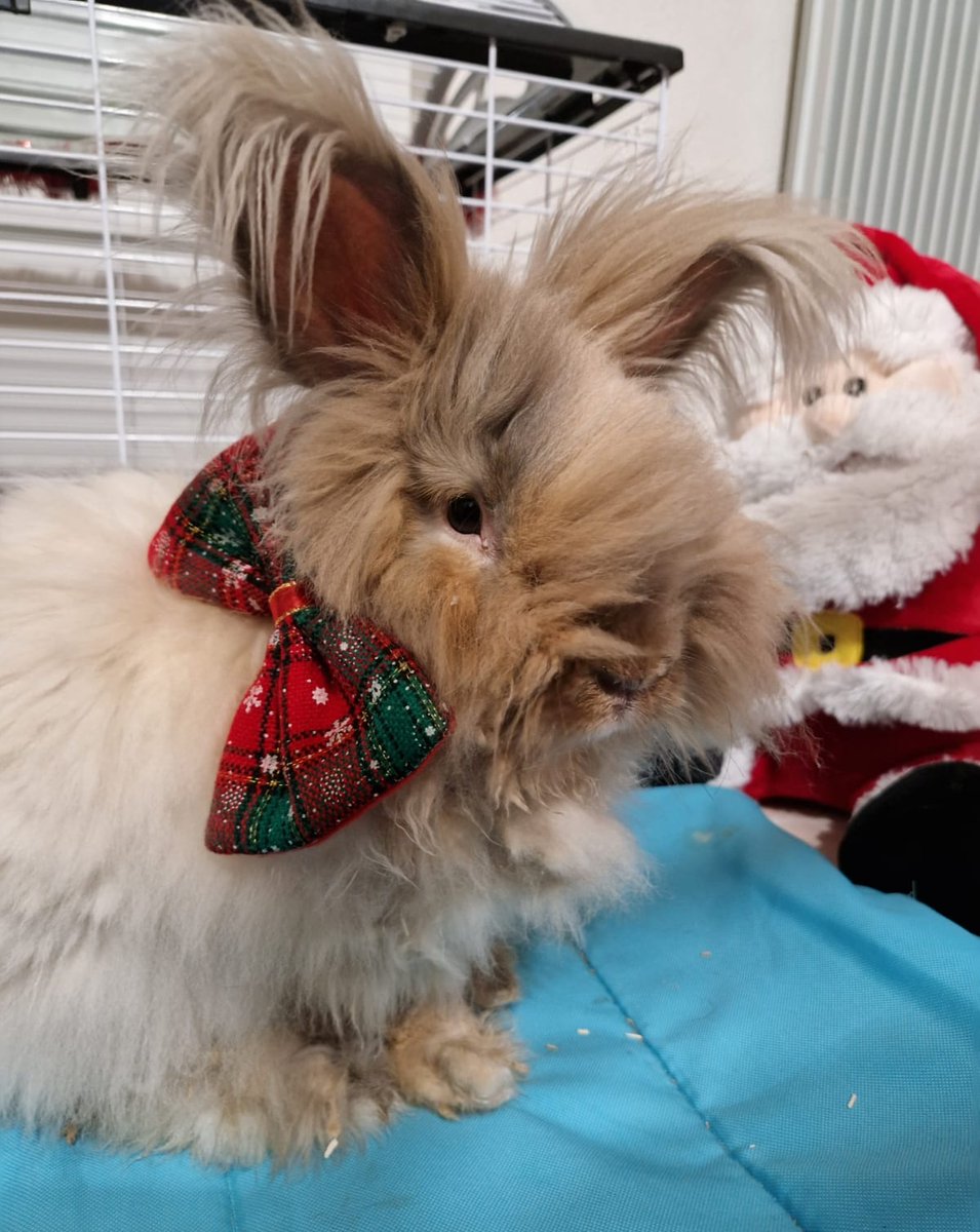 🎄 Happy Christmas Eve / Merry Christmas everyone 🎄

❄️ Miss you all ❄️