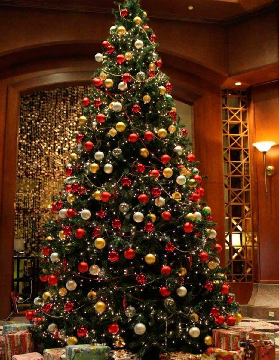 🎄🤶🎄🎁