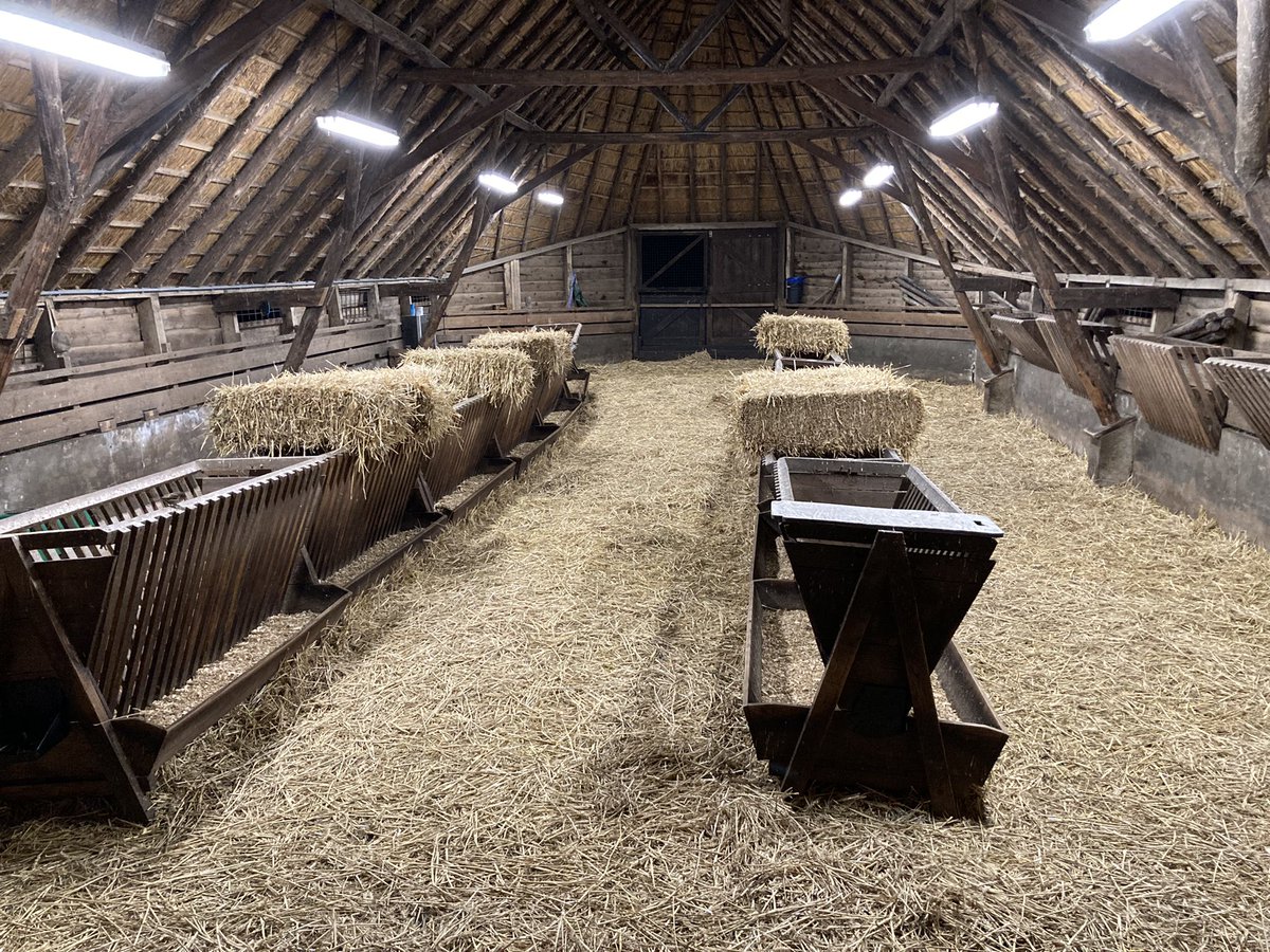 Prachtige #kerstnachtdienst bij de Schaapskooi op de #Renderklippen. Tussen flarden mist klinkt de blijde boodschap van Jezus geboorte. Honderden aanwezigen zingen kerstliederen.

Gezegende kerstdagen!

#kerstnacht #advent #kerst2022 #hoop #vredeopaarde 
@gem_Heerde
