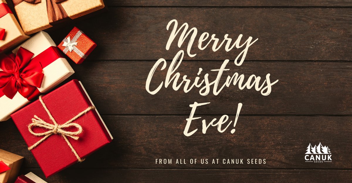 CanukSeeds's tweet photo. 🎅May you never be to grown up to search the skies on Christmas Eve!🎄🎁

MERRY CHRISTMAS EVE FROM THE CANUK FAMILY TO YOURS!🖤

#Christmaseve2022 #Canuk #MerryChristmasEve #Fromourfamilytoyours #Hohoho https://t.co/XuZCTWKiQF