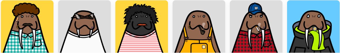 <a href="/CuteWalrusClub/">CuteWalrusClub</a>