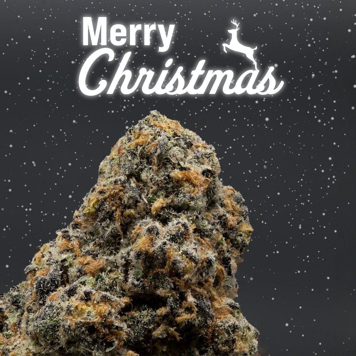 🎅 Merry Christmas from the Endo team🎄