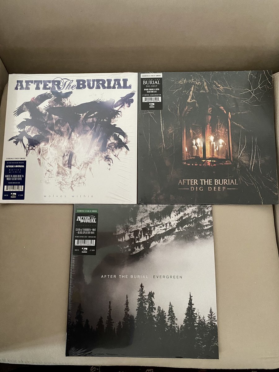voidasnecessary's tweet photo. Early Christmas gift to myself @aftertheburial https://t.co/sPO6C3erK0
