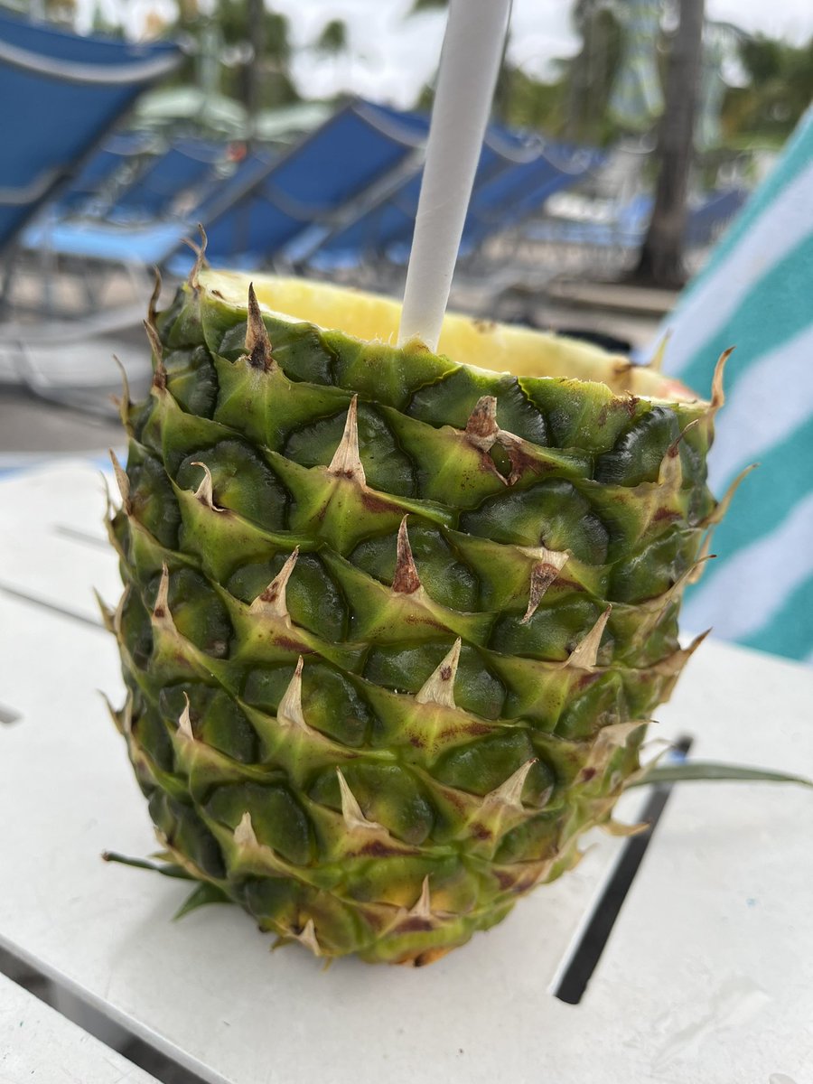AMcDermottJsy's tweet photo. @CrossyTweets This is the remnants of my Mama Bahama🍍 https://t.co/LS3zpsnvND