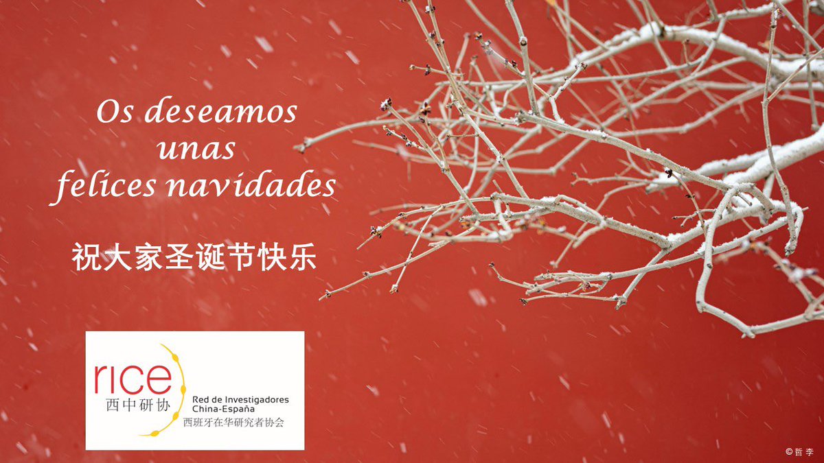 Red Investigadores China-España (@redinvchiesp) on Twitter photo 