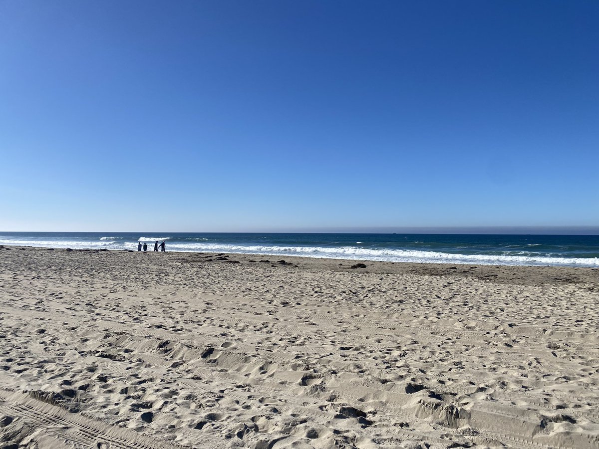 Merry Christmas from San Diego! 🎄❤️