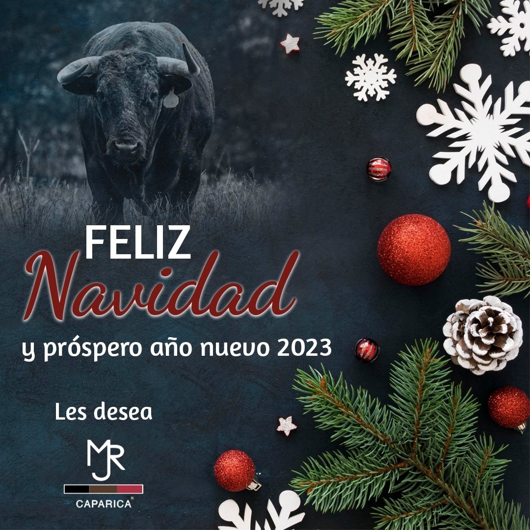 Felices fiestas les deseamos todo el equipo de #CaparicaMJR
#navidad2022  #AñoNuevo #2023 #lomejorestaporvenir