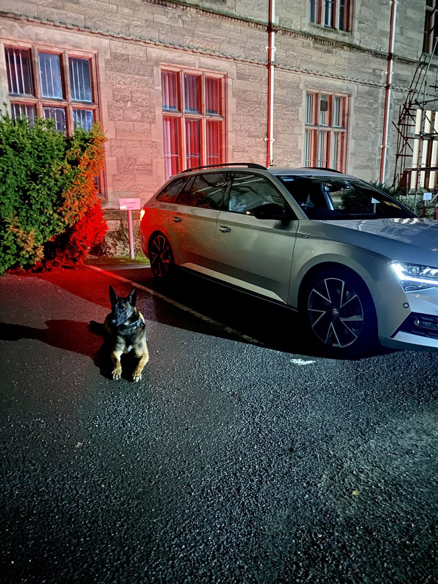 PD Xena & PD Teddy tweet media