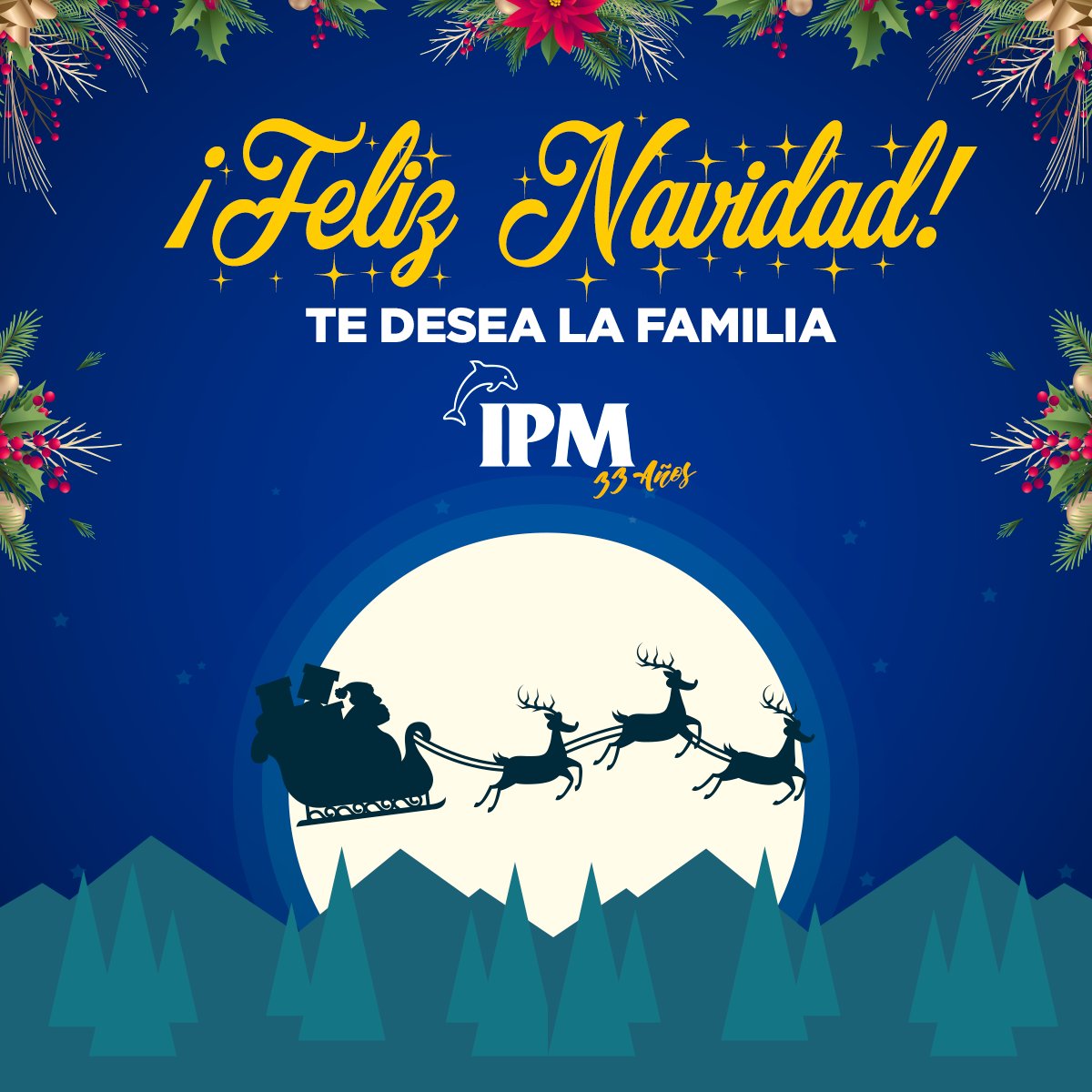 ¡Les deseamos una muy #FelizNavidad 🎄🎅de parte de toda la #FamiliaIPM 🤗🤗! 
Esperamos que puedan disfrutar de estas fiestas al lado de sus seres queridos.
