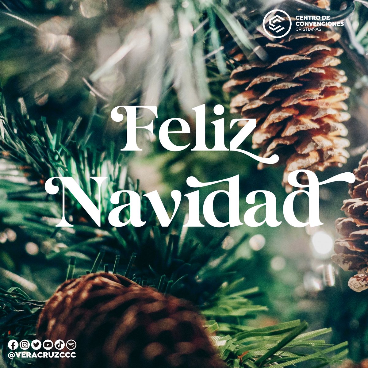 veracruzccc's tweet photo. ¡Feliz Navidad Familia!
Que nuestro Salvador Jesús llene sus hogares y corazones de fe, esperanza, gozo, amor y paz.
#FelizNavidad #JesúsNació #cccver #cccveronline https://t.co/ggA9PbdpSm