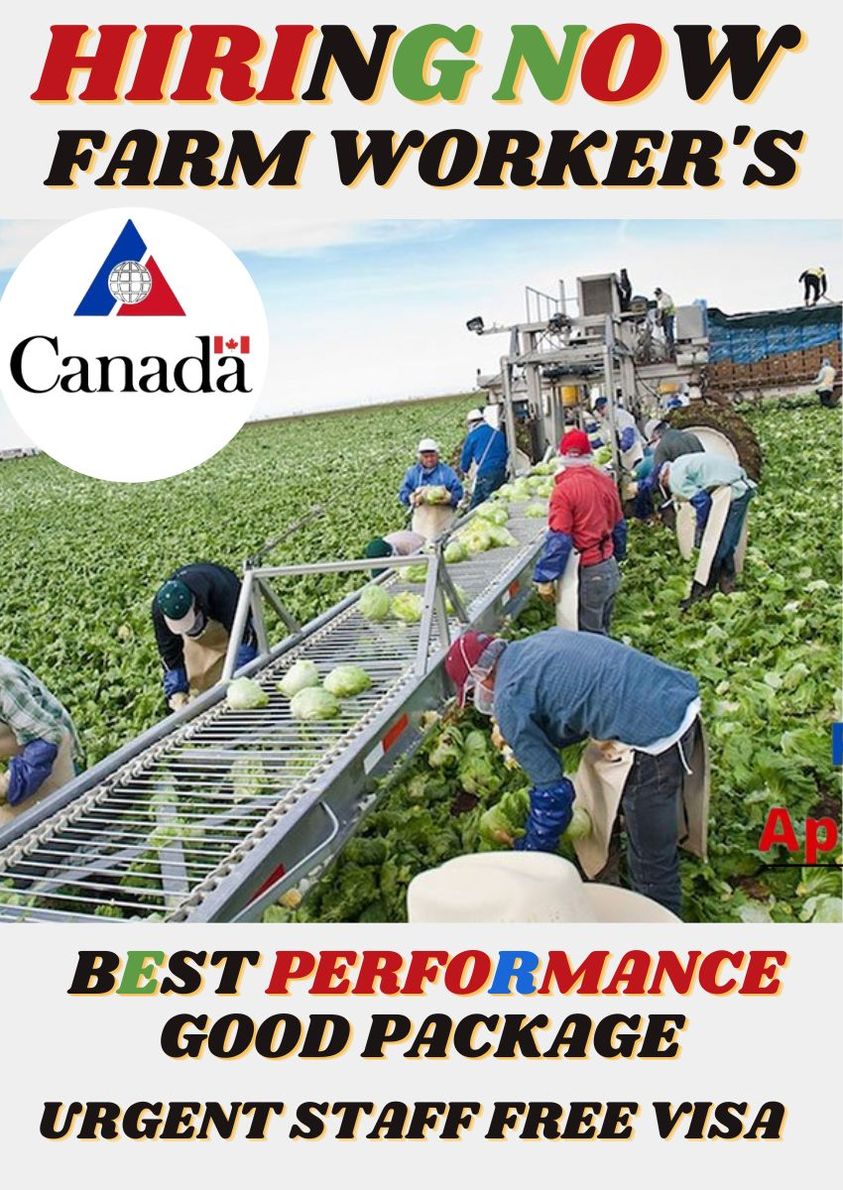 EpaperJobz's tweet image. New Jobs In Canada 2022-23
Contact here :- bit.ly/3Gi8pdJ
No need To pay
More Jobs :- bit.ly/3uiSUvF

#callcenter #TagYourFriends #ApplyTogether #InternationalAccount #jobs #canada