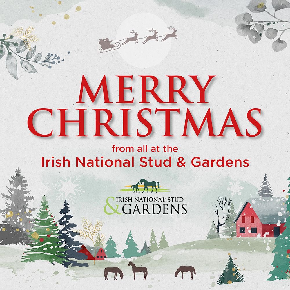 Merry Christmas from all at the Irish National Stud & Gardens 🎄🐎 Thank you to all our clients & customers for their continued support #christmastime #irishnationalstudandgardens #thoroughbredcounty