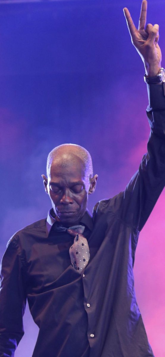 Rip Maxi Jazz