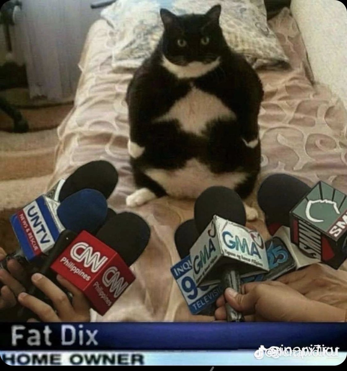 Fitba's tweet image. hope he had a good christmas