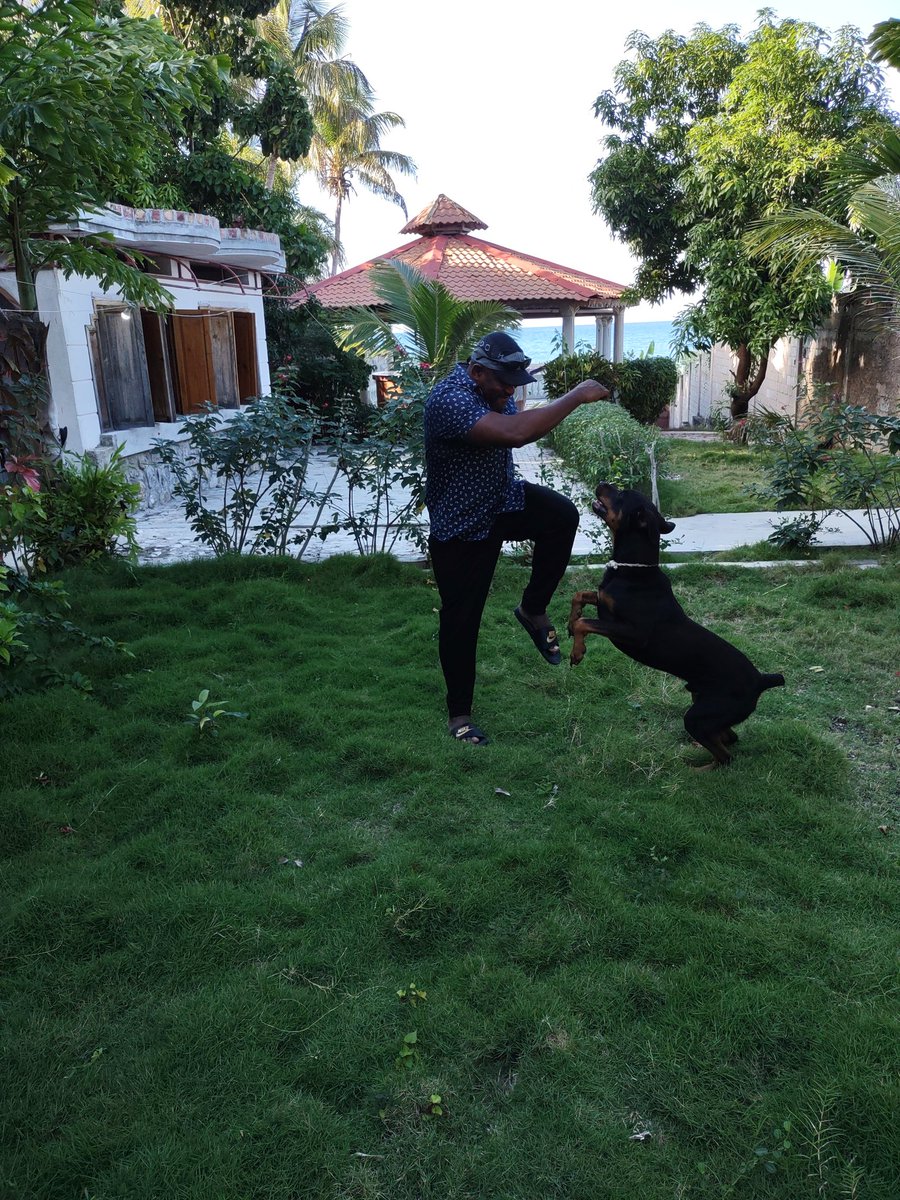 Charlespros7's tweet photo. Taurous is gone! Four veterinarians could not save him. He was my best friend, and I miss him... https://t.co/euAXdTI8Vj