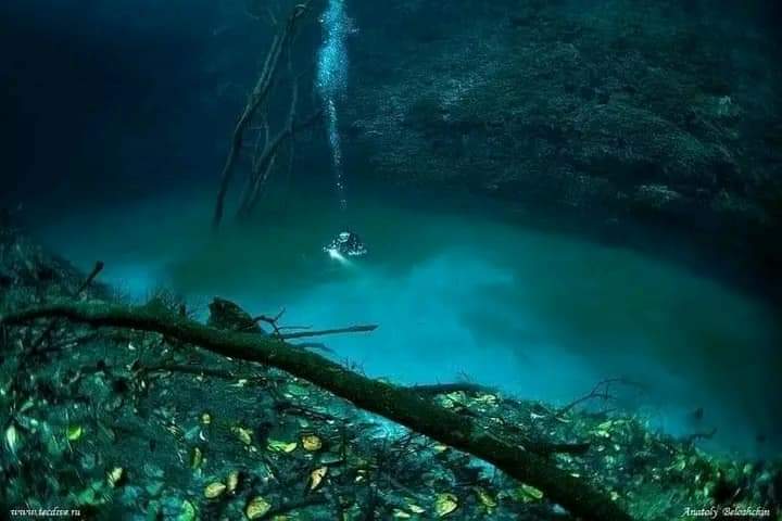 ¿UN RÍO DENTRO DE OTRO RÍO? 🤯

En la península de Yucatán, México, existe un lugar impresionante. Se trata del cenote Angelita, un "río" por debajo del agua.

A unos +10 metros de profundidad, un nuevo mundo se abre frente a tus ojos. Parece que estás en un bosque subterráneo.