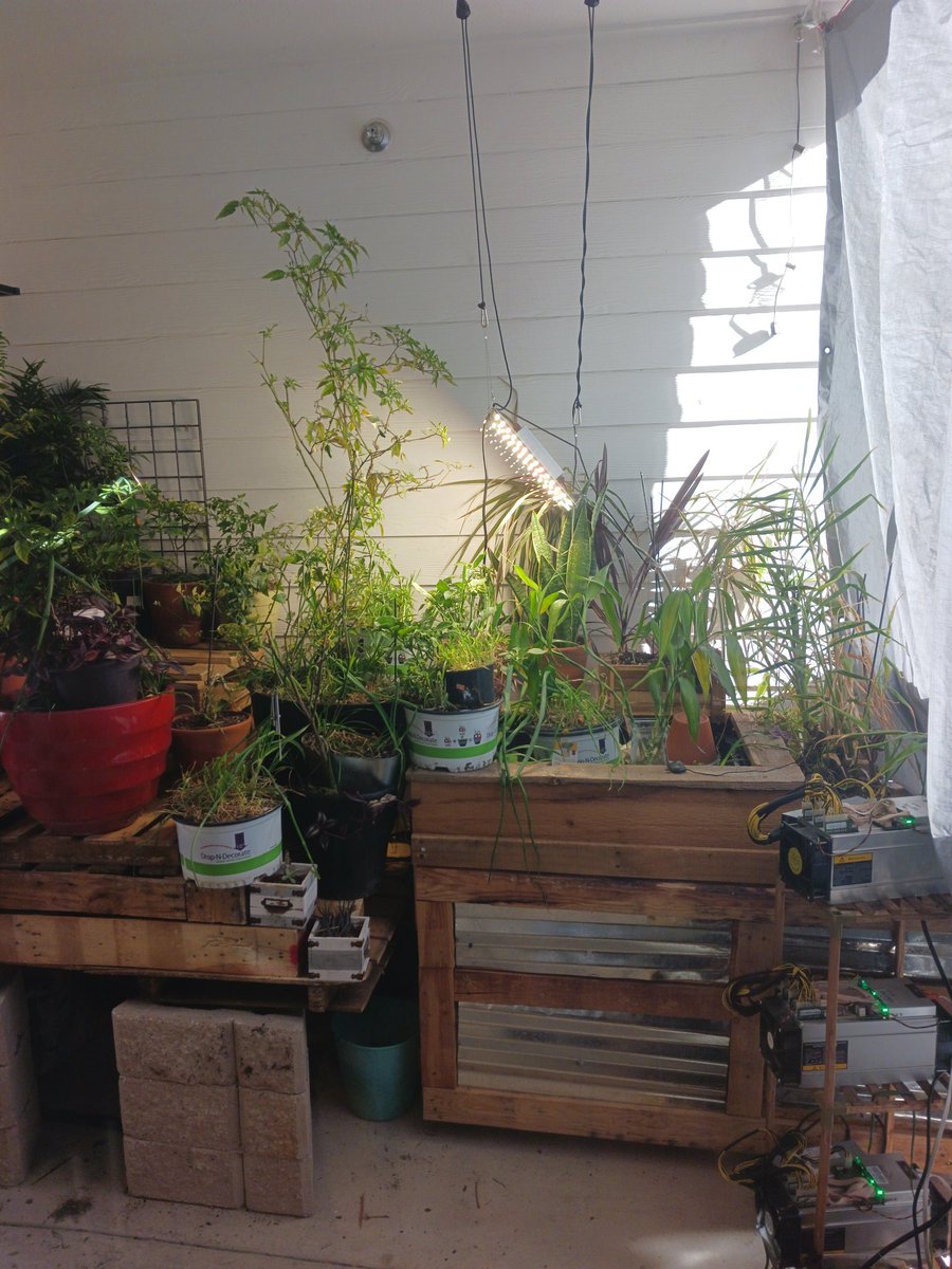 Mindful Mining tweet media