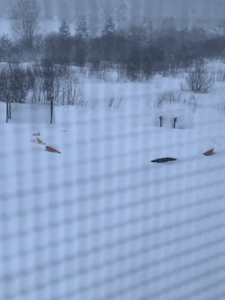 🤣 just about to loose sight of my muskoka chairs around the fire pit and the snow just keeps coming!