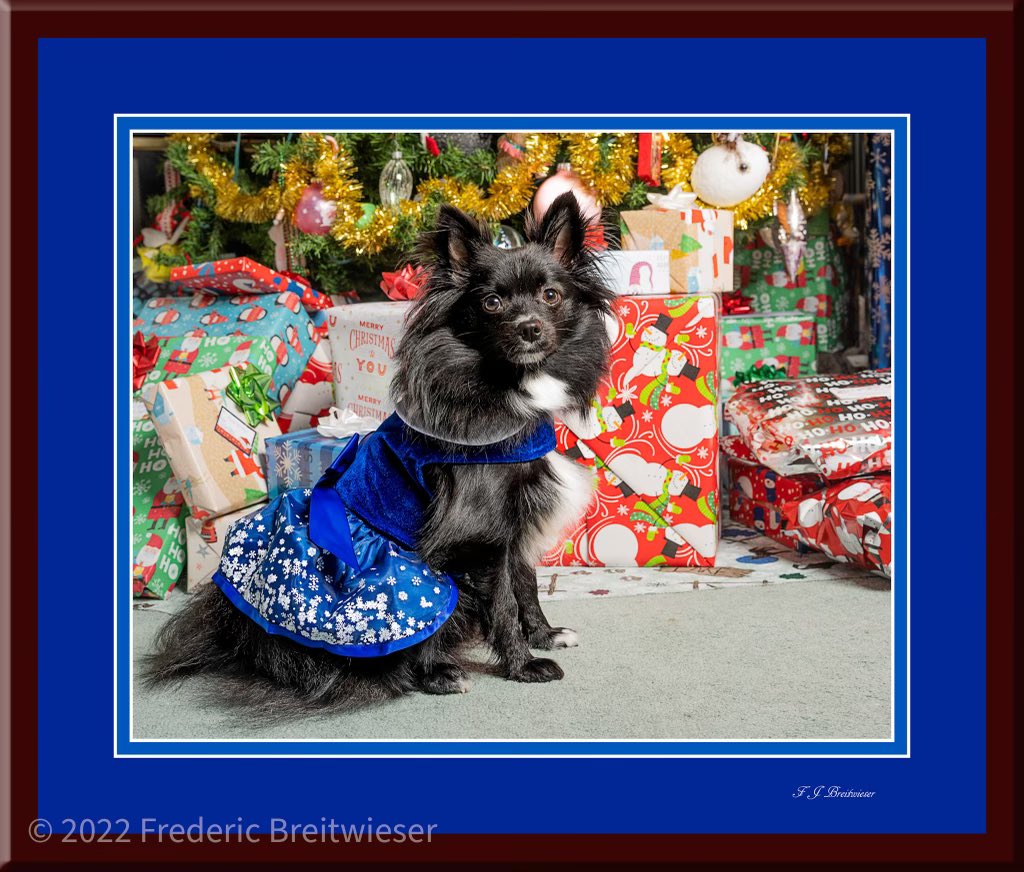 Grampy did it again!!!  I hope to add to my Christmas wardrobe as de yeers go by!  Maybe one day I’ll haf as many clothes as Peaches!