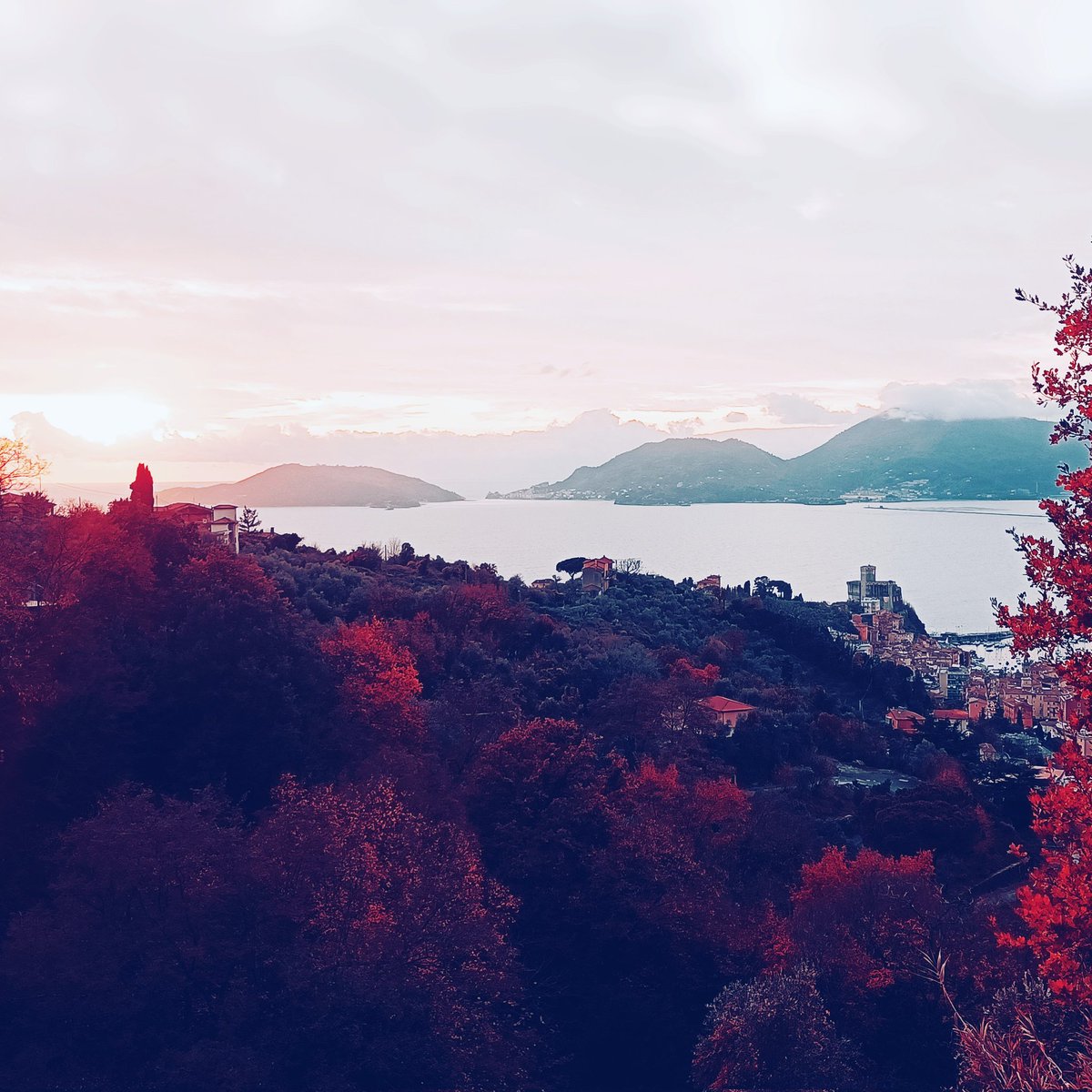 luca (@luca76_luca) on Twitter photo 