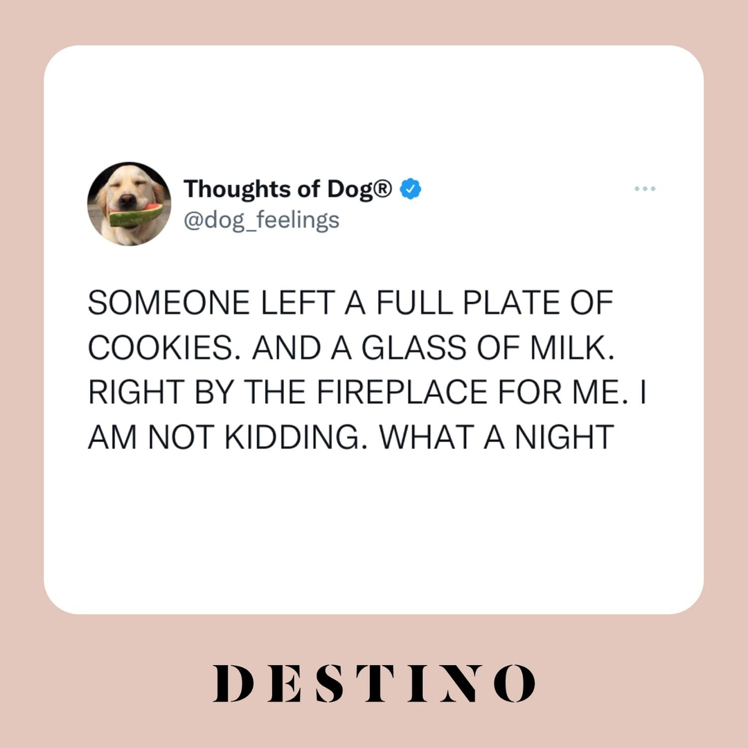 CHRISTMAS EVE VIBES 🎅🏼