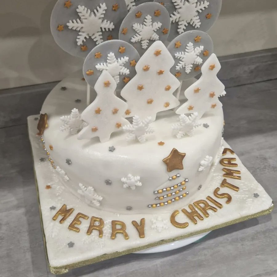 Here's my Christmas cake for this year. 😁🎄 

#christmascake #christmascake2022 #christmascake🎂