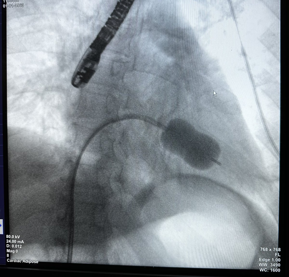 Ahmad Younes, MD, MBA tweet media