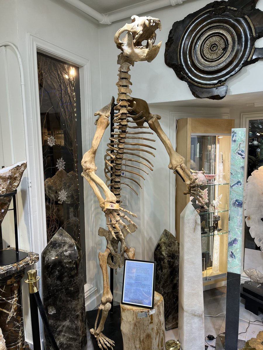 SharkBryce tweet media