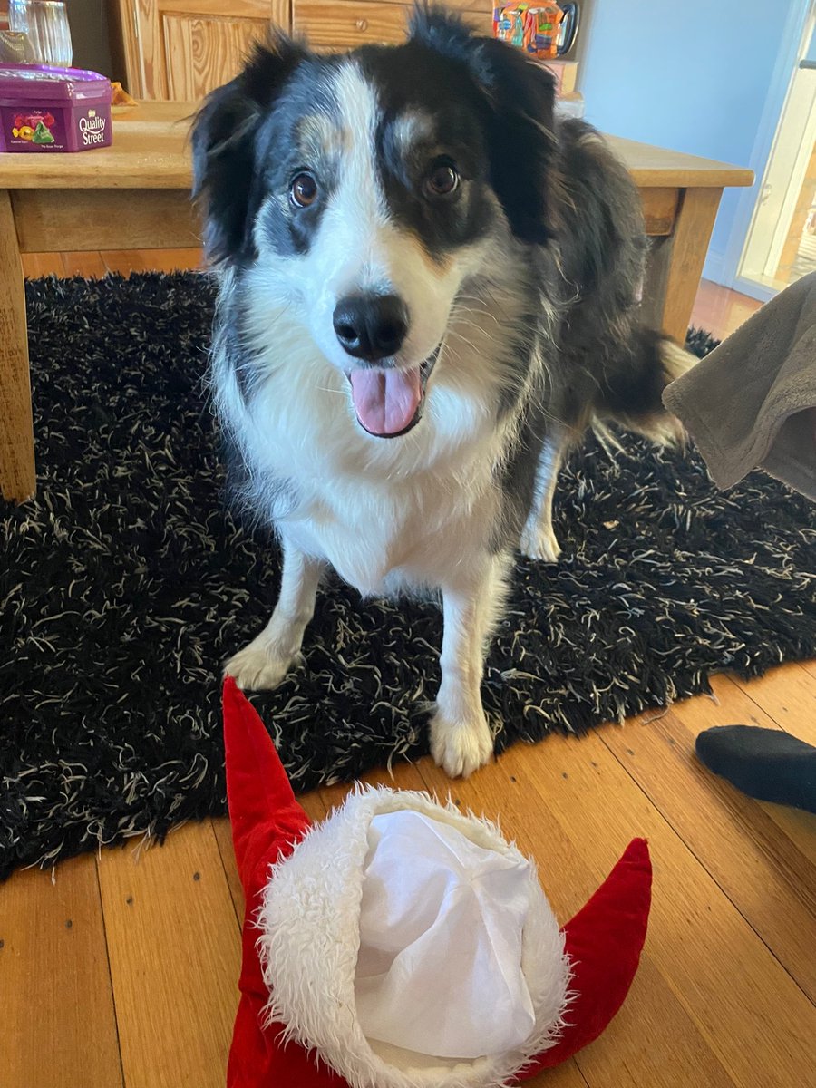 Merry Christmas from Aus (and Molly) !! While a much quiter year on the markets plenty oppurtunity to snap up a bargain ... hunt #historicals.