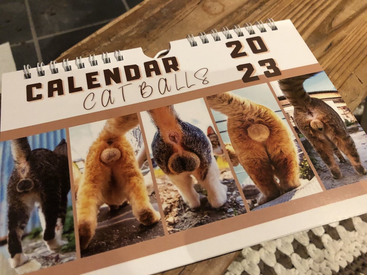 gab1473's tweet photo. 来年のカレンダーをゲットした。
#catballs #ふぐり https://t.co/diS3Xvnfz0