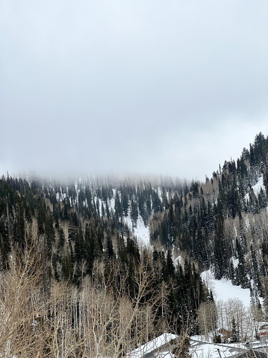 Action_Asawa's tweet photo. @SnowPalsDotOrg @Northstar_CA @epicpassclub @KirkwoodMTN @skiheavenly Hey Tim! Isn’t the right answer always to wait for the big prize!?! Road tripping in Salt Lake City!
Day 2: Deer Valley :) https://t.co/6QiaYktpw1