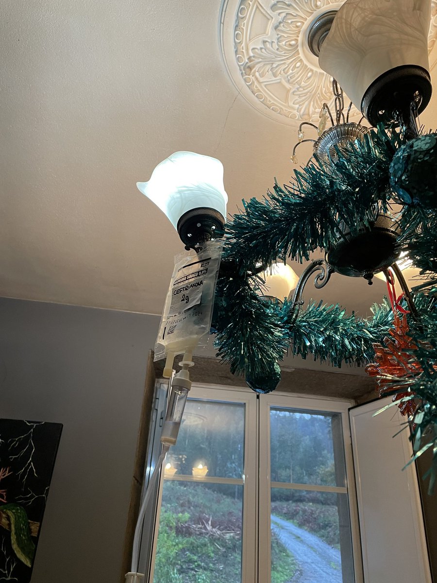 Por todas aquelas persoas que estos días o están a pasad mal. SAÚDE! 💜💜 #nadal #navidad #medicinainterna #HADO