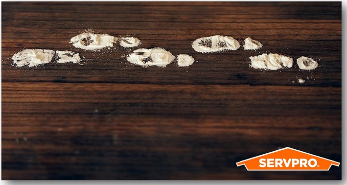 May your #Christmas be filled with a little #magic and a lot of #joy! #SERVPRO #ChristmasEve2022 #ChristmasMagic