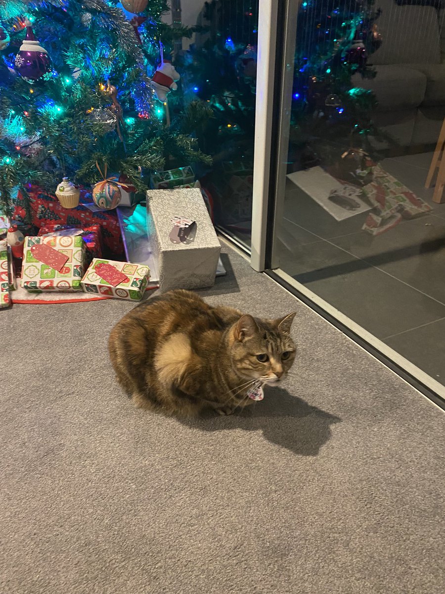 Merry Christmas all 🎄