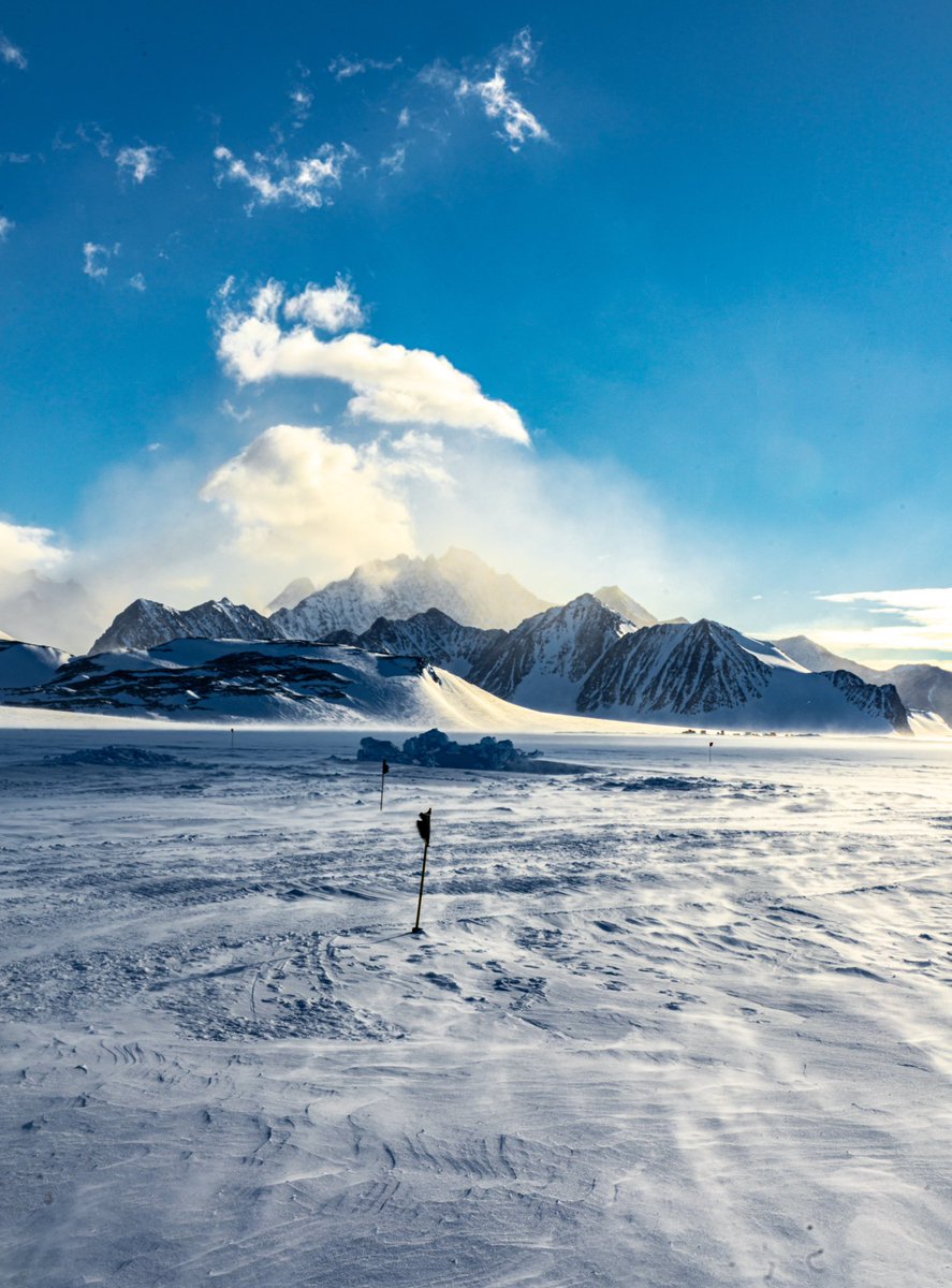 Antartica was incredible 😍 truly one of the most beautiful places I’ve ever seen