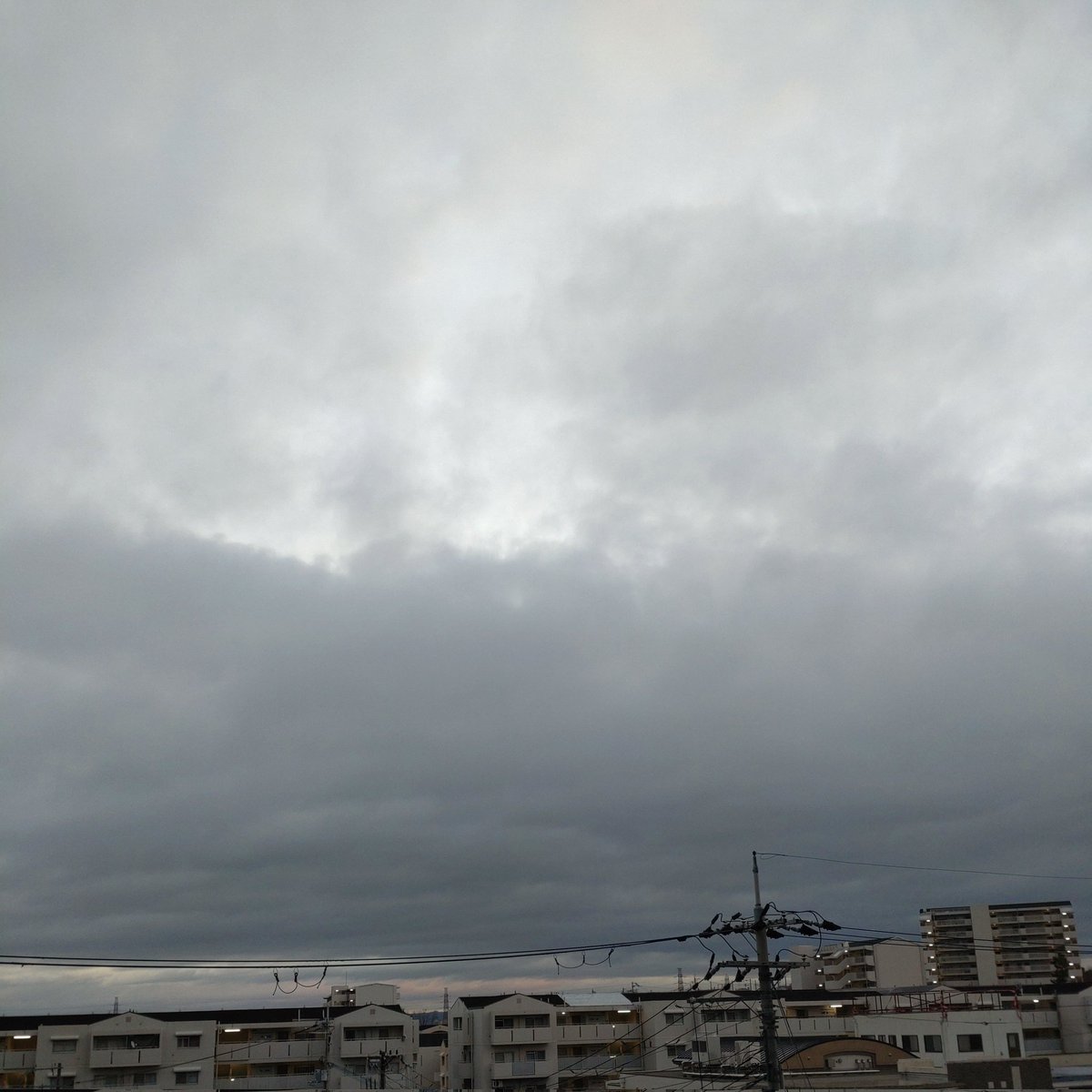 XmugLwwY8PlmunH's tweet photo. ãæ©ãããããŸãð¥±
什å4幎12æ25æ¥(æ¥) åå7æ38å 倧éªã¯æŽãã®ã¡éšâ/âãæ°æž©4.2â
仿¥ã¯ç¥æžã§åœŒå¥³ãšã¯ãªã¹ãã¹ã»ã©ã³ã
仿ã®äžæ
ãA Christmas Gift For You From Phil Spector/V.A.ã(1963)
çæ§ãè¯ãæ¥ææ¥ããéãäžããð
#ã€ããœã©
#Phil_Spector https://t.co/gNmJEizGvv