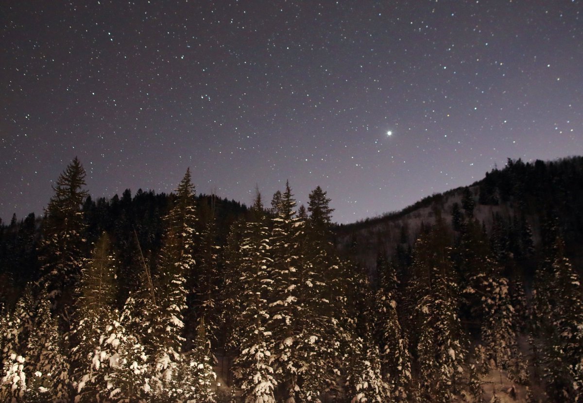 Riding with Robots tweet media