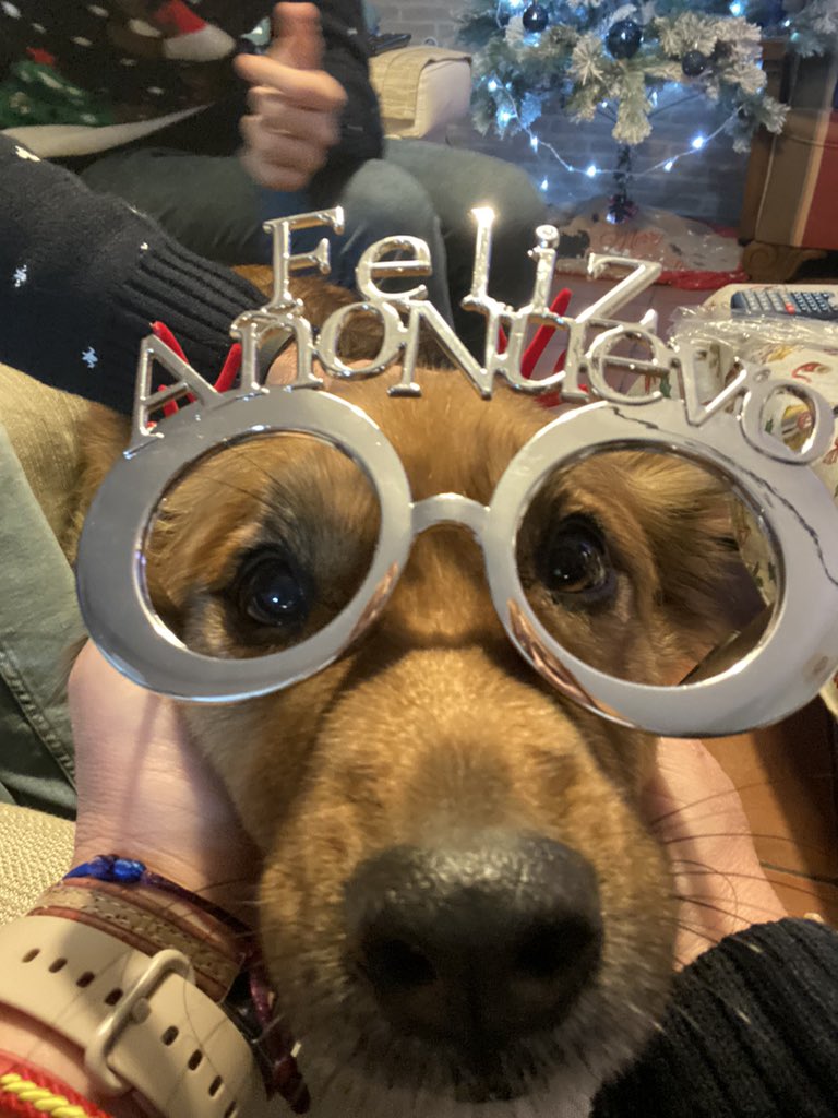 Merry christmas I guess