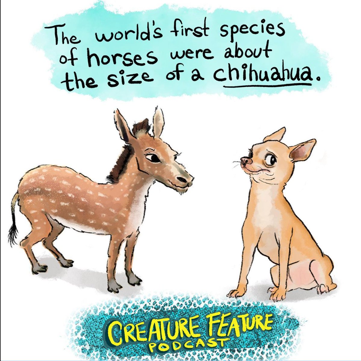 If you wanna see animal facts and my attempts to draw those animals, I'm going to be more active on my Instagram account doing both those things. Would love for you guys to check it out :] especially since twitter is turning into turd stew instagram.com/creaturefeatur…