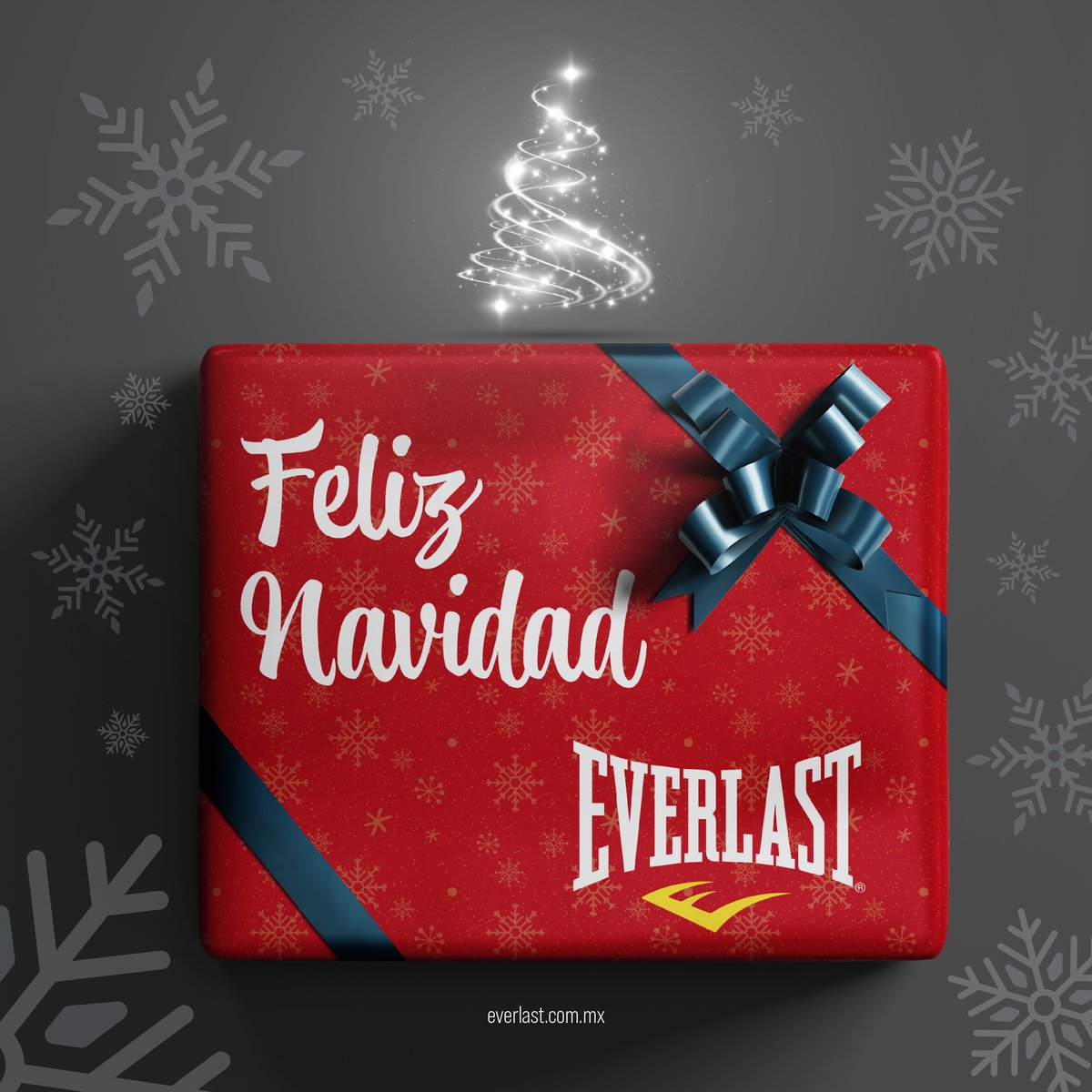 🎄La familia #Everlast les desea una Feliz Navidad 🎄

#navidad #navidad2022 #navidadeverlast #EverlastMexico