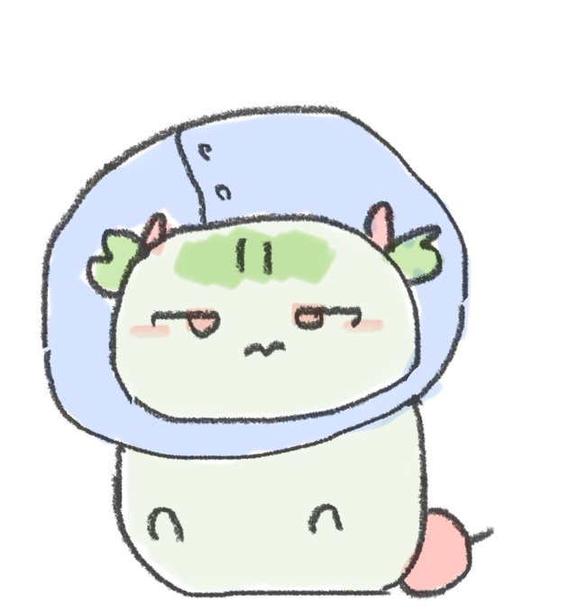 傷口をなめたりしないように見ていてあげてくださいね🍎 