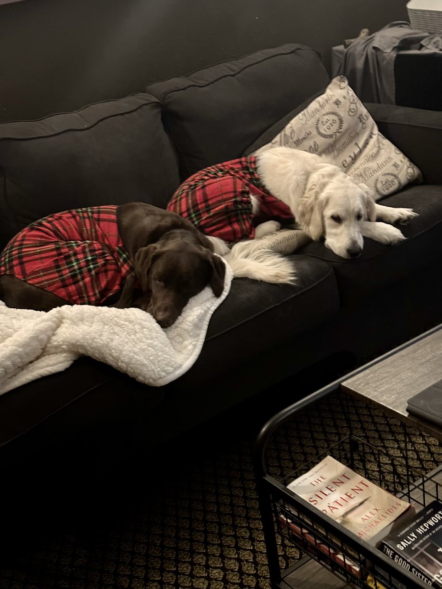 Thanks to <a href="/madikerrigan_/">Madi Kerrigan</a> our dogs are in their Christmas finest ❤️