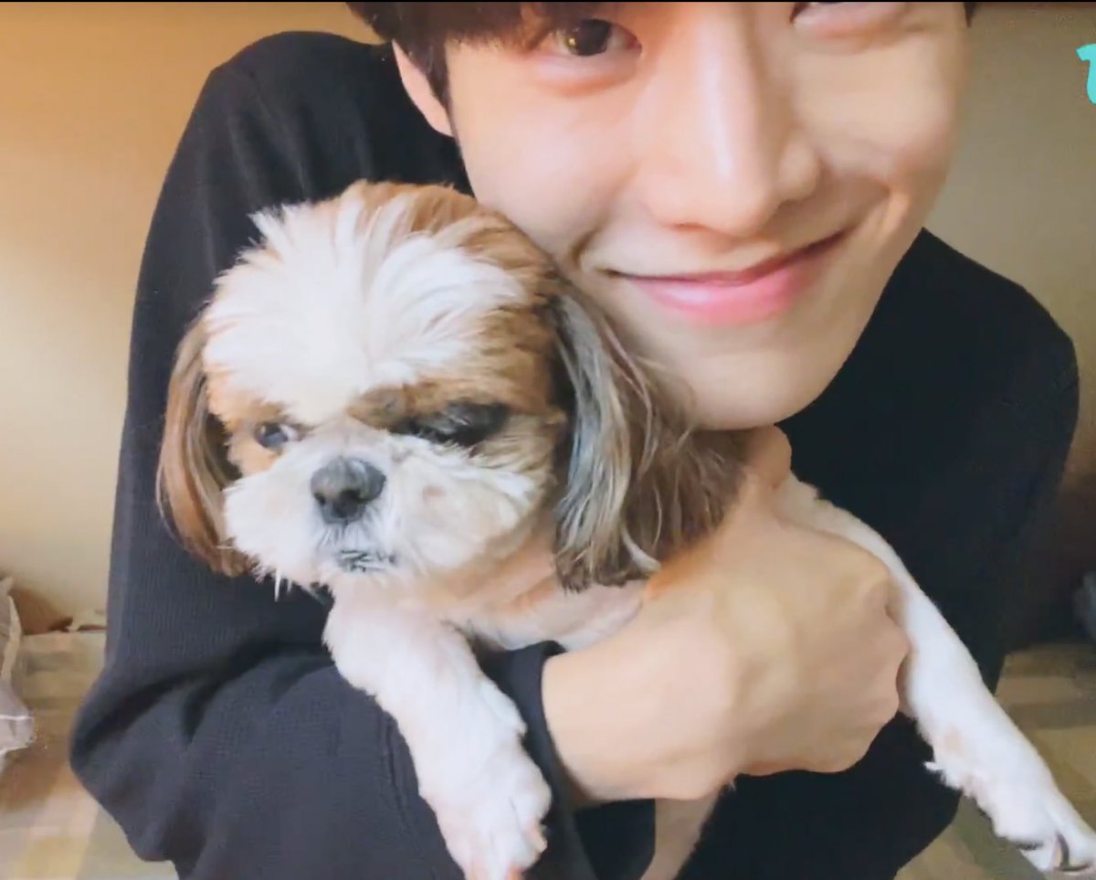 miraecutie's tweet photo. the cutest 🥹🤍 https://t.co/qyEPZQG30Z