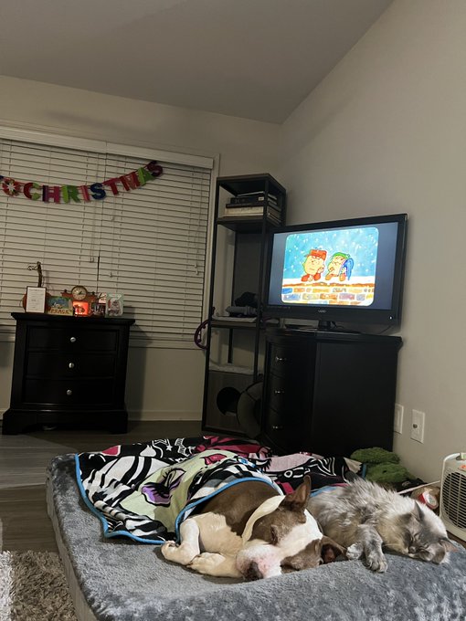 Not a creature was stirring https://t.co/w1MMjeGx5X<a href="/tag/tittytuesday"class="tags"><span>#tittytuesday</span></a>