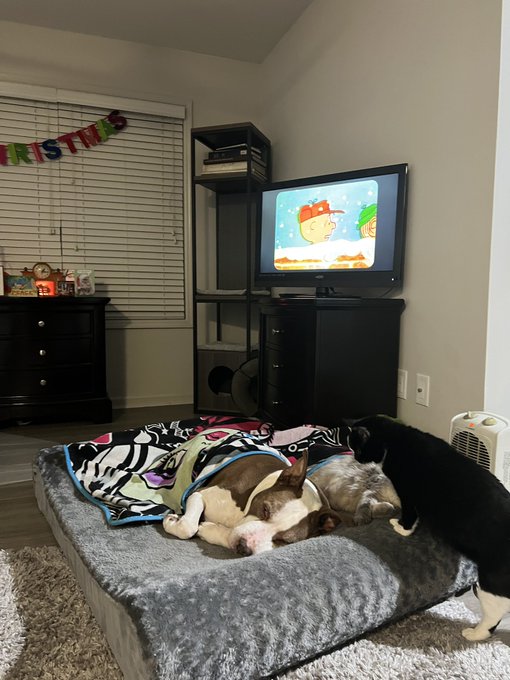 Not a creature was stirring https://t.co/w1MMjeGx5X<a href="/tag/tittytuesday"class="tags"><span>#tittytuesday</span></a>