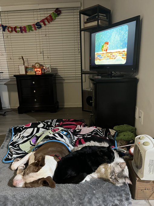 Not a creature was stirring https://t.co/w1MMjeGx5X<a href="/tag/tittytuesday"class="tags"><span>#tittytuesday</span></a>