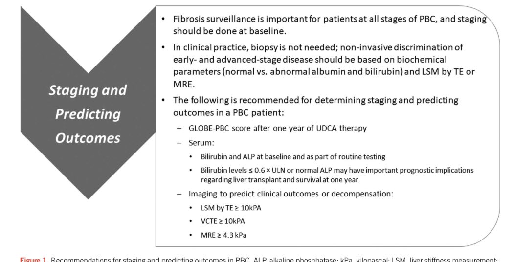 frankd361's tweet photo. Application of the Latest Advances in Evidence-Based Medicine in Primary Biliary Cholangitis.  Nueva revisión de Colangitis Biliar Primaria. Am J Gastroenterol 2022 https://t.co/CfYUz1P3p7 https://t.co/YgsmCmcOWT