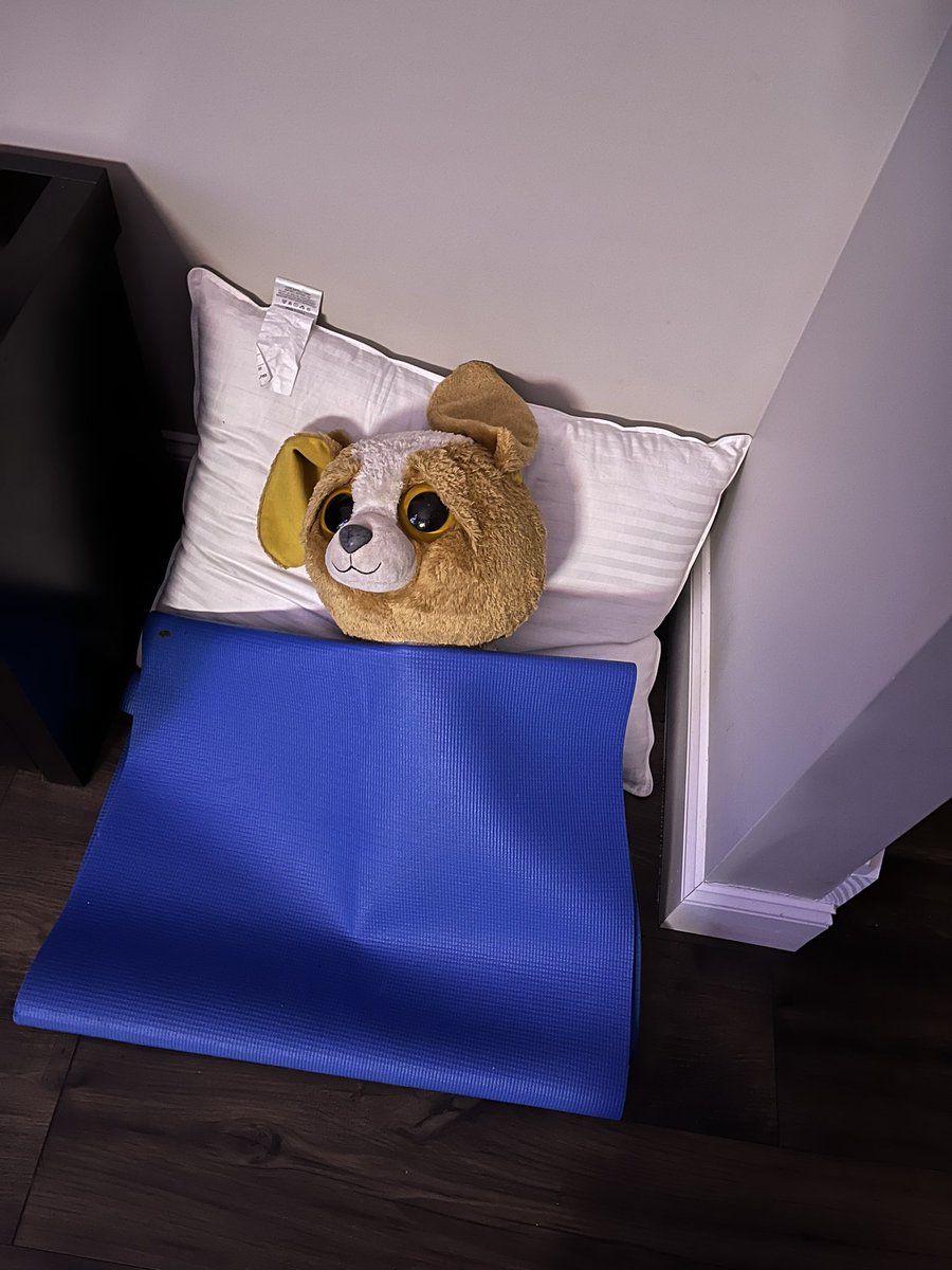 The children were nestled all snug in their beds…