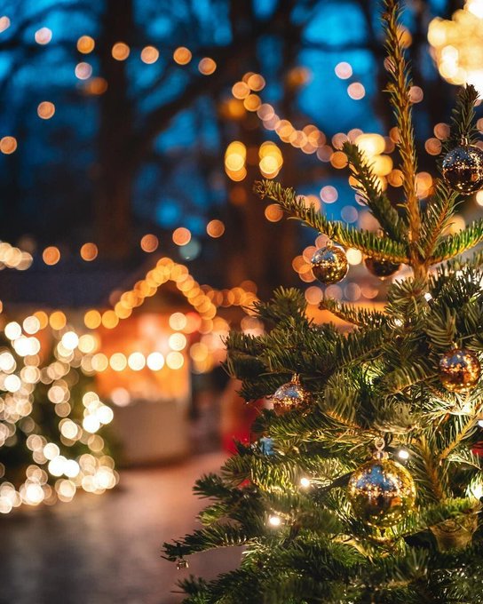 Geneva, Switzerland 🇨🇭