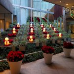 ツイートに含まれる画像